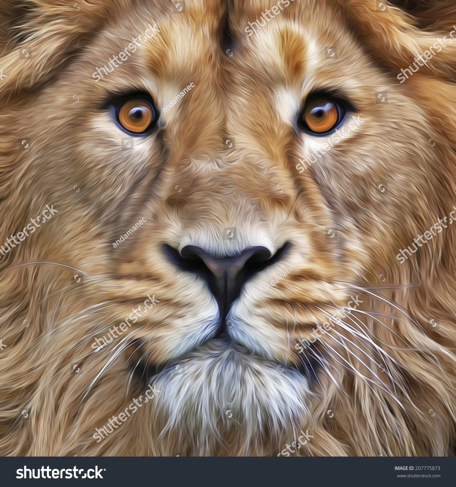 面对年轻的亚洲狮广泛睁开眼睛。百兽之王,最大的猫,直盯着摄像机。插图在油画风格。对用户图片,图标,标签,纹身。-动物\/野生生物,自然-海洛创意(HelloRF)-Shutterstock中国独家合作伙伴-正版图片在线交易平台-站酷旗下品牌