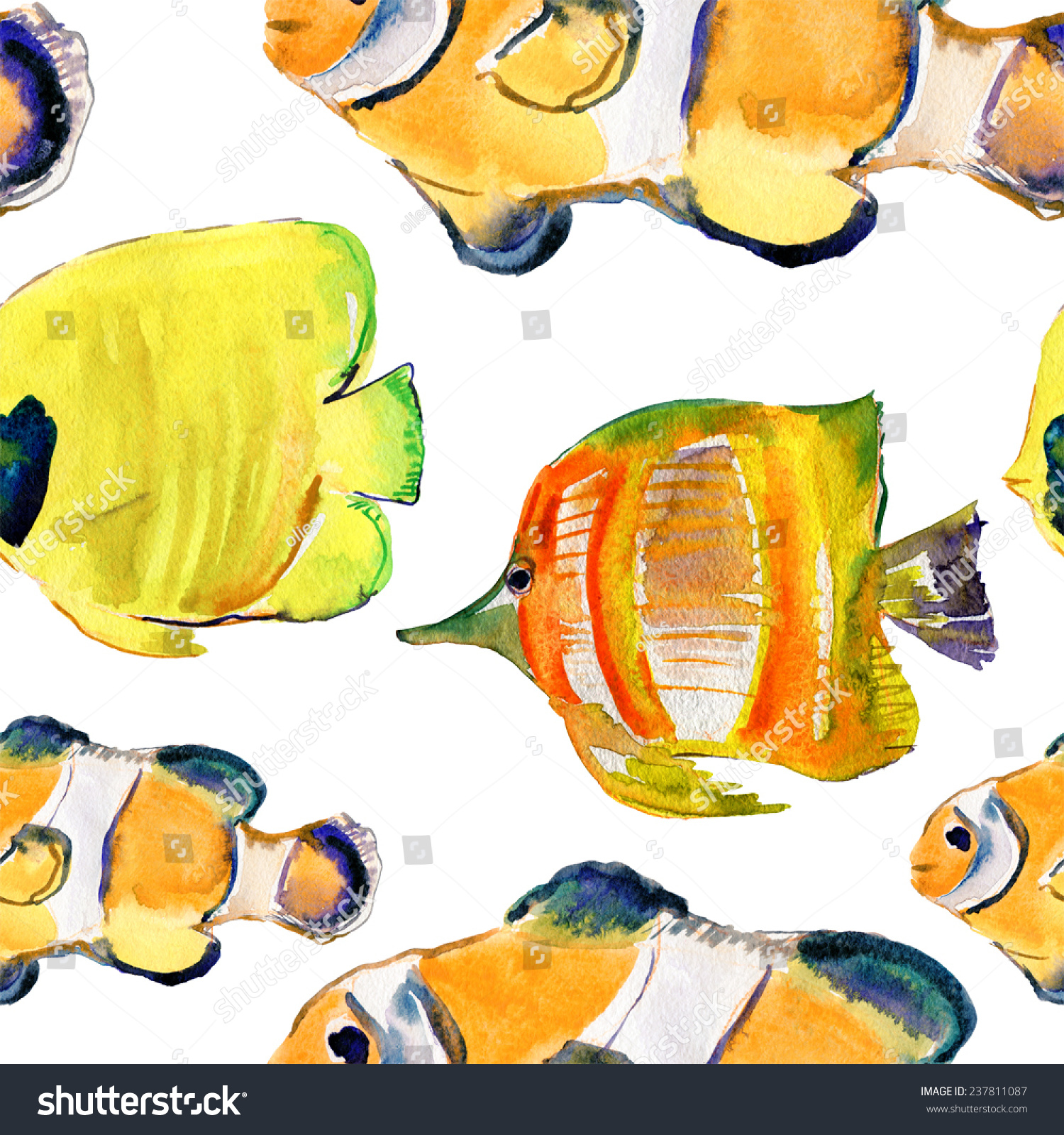 异国情调的鱼(热带鱼)。重复的模式。水彩画。