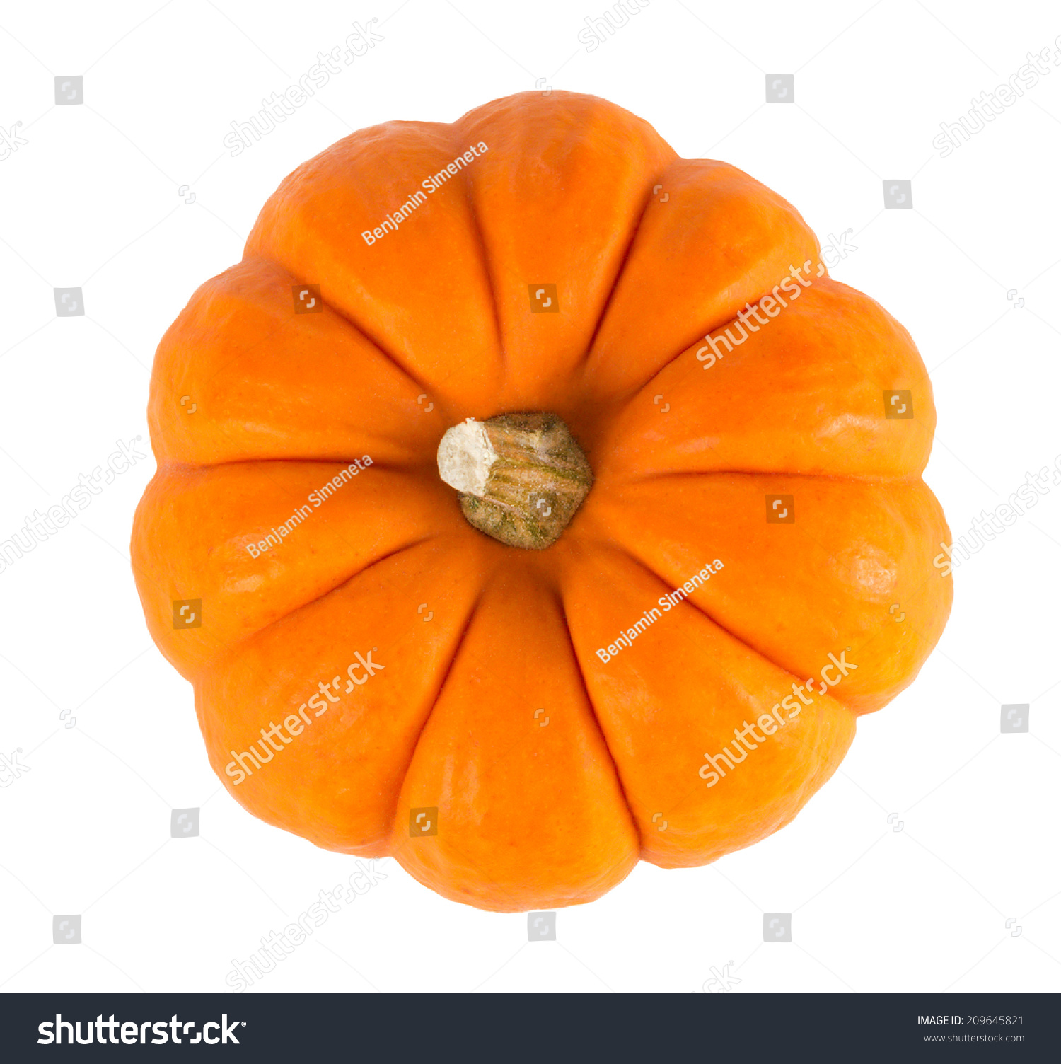 迷你橙色南瓜孤立在白色背景.