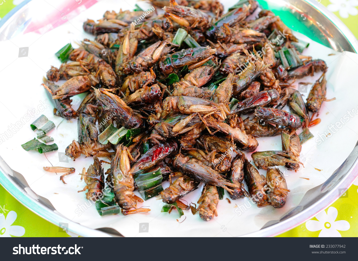 市场上卖的油炸蟋蟀-食品及饮料,其它-海洛创意(hellorf)