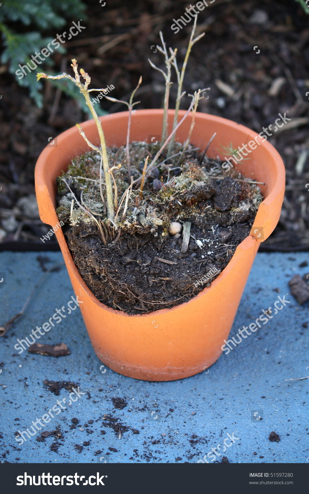 破碎的花盆-其它,自然-海洛创意(hellorf)-shutterstock中国独家合作